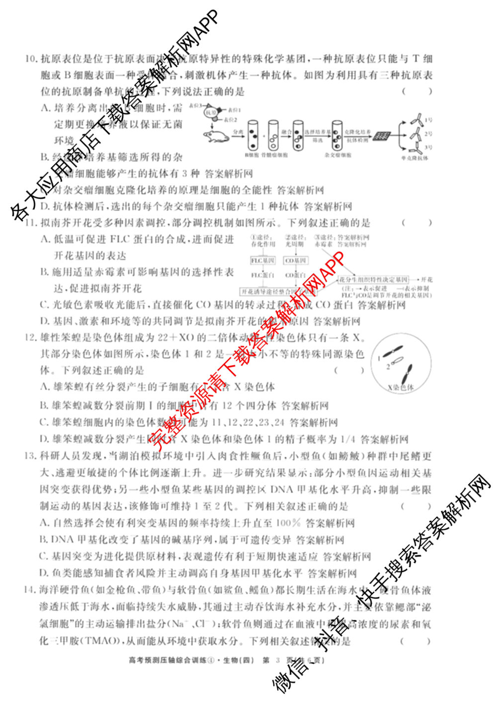 2026届高考预测压轴综合训练(四)4试卷及答案汇总: 含英语、化学(4)、历史(5)试卷解析生物试题