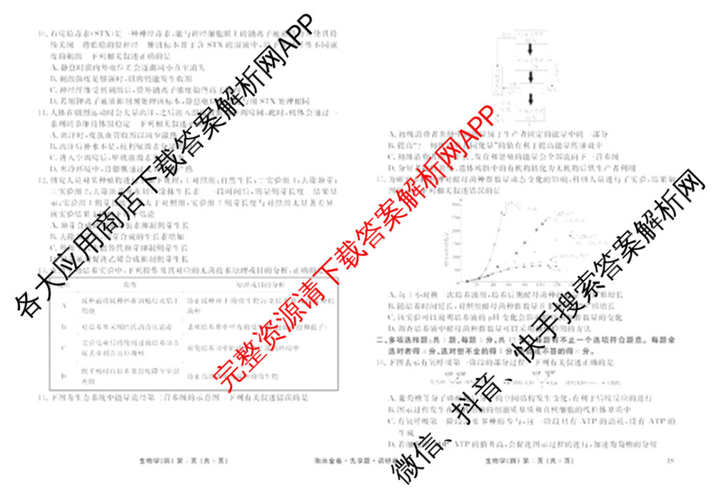 衡水金卷先享题调研卷2026年普通高等学校招生全国统一考试模拟试题(四)4(已更新生物(山东专版) 理综 历史(JS)等91份)生物试题