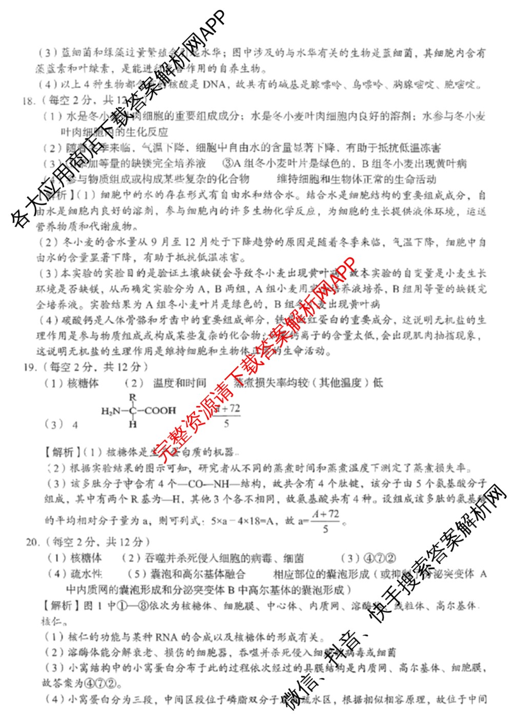 A佳教育G10/H11/三新教育联盟2025 年秋季高一期中联考（含英语 化学 政治等）生物答案