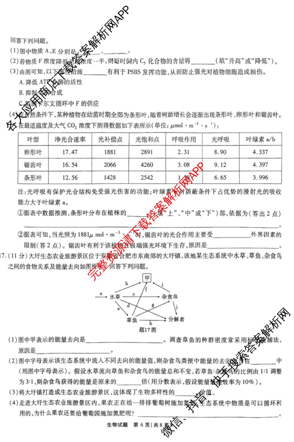 安徽六校教育研究会2025届高三年级入学素质测试试卷及答案汇总（含历史 数学 化学等）生物试题