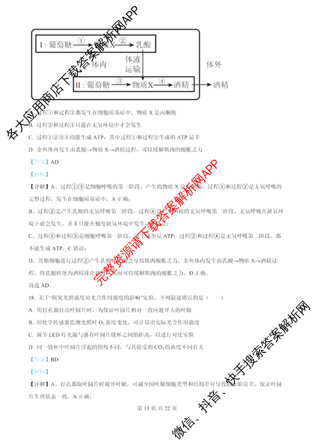哈师大附中2023级高三上期中考试各科答案及试卷(已更新历史、政治、生物等9份)生物答案