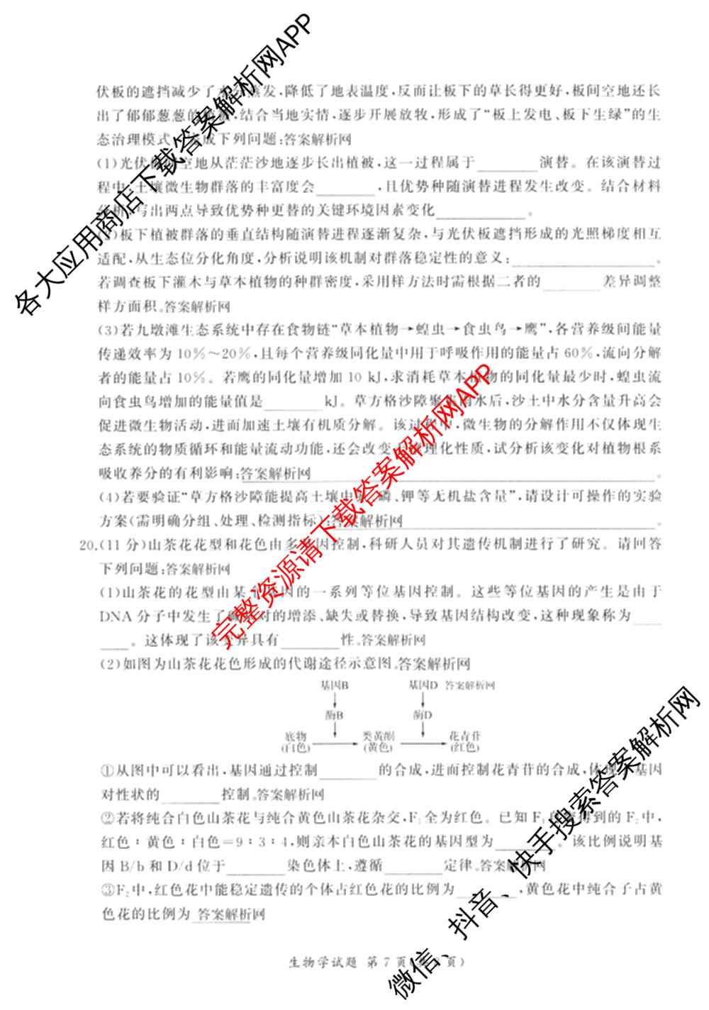百师联盟2026届高三命题趋势预测(四)（含化学(百N)、政治(百A)、数学(百B)等）生物试题