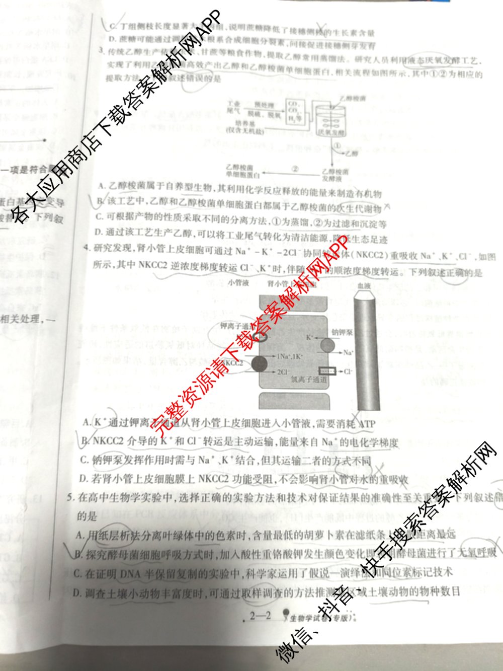 天一大联考2026届高考全真模拟卷(二)2试卷及答案汇总（含政治(湖南专版)、物理(山西专版)、生物(安徽专版)等）生物试题