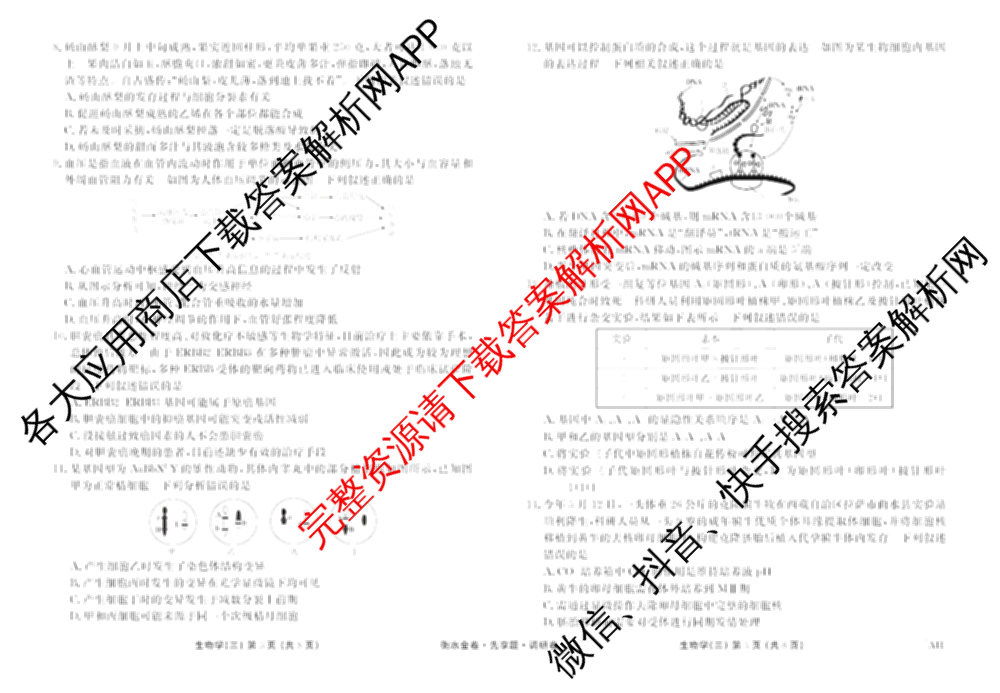 衡水金卷先享题调研卷2026年普通高等学校招生全国统一考试模拟试题(三)3各科答案及试卷(已更新化学(山东专版)、历史(HN)、文综(新教材)等91份)生物试题