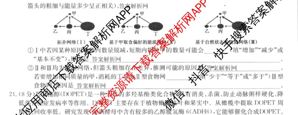 全国名校大联考2025~2026学年高三第六次联考(月考)各科答案及试卷（9科全）生物试题