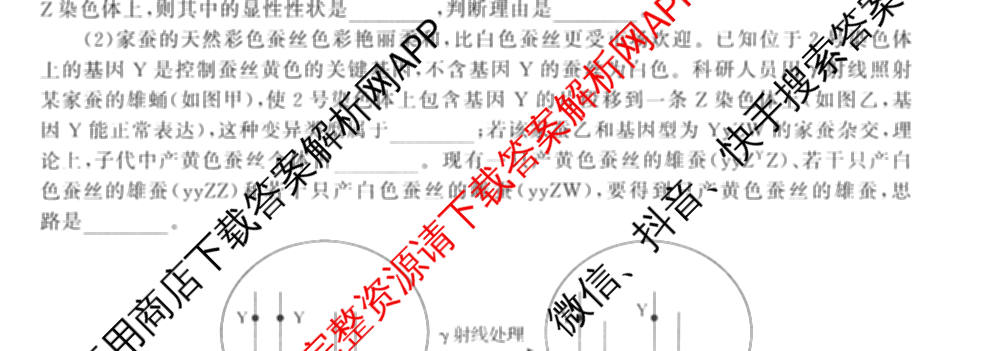 天舟高考衡中同卷2026年普通高等学校招生全国统一考试模拟信息卷(六)6（含化学(山东版)、政治(DB)、物理(山东版)等35份）生物试题