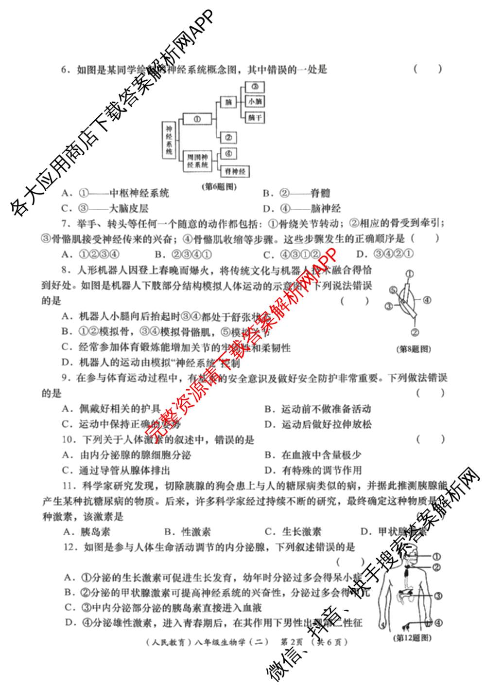 陕西省2025-2026学年度第一学期周期学业能力评鉴(无字母)八年级(二)各科答案及试卷（含历史、数学(北京师大)、地理(人民教育)等）生物试题