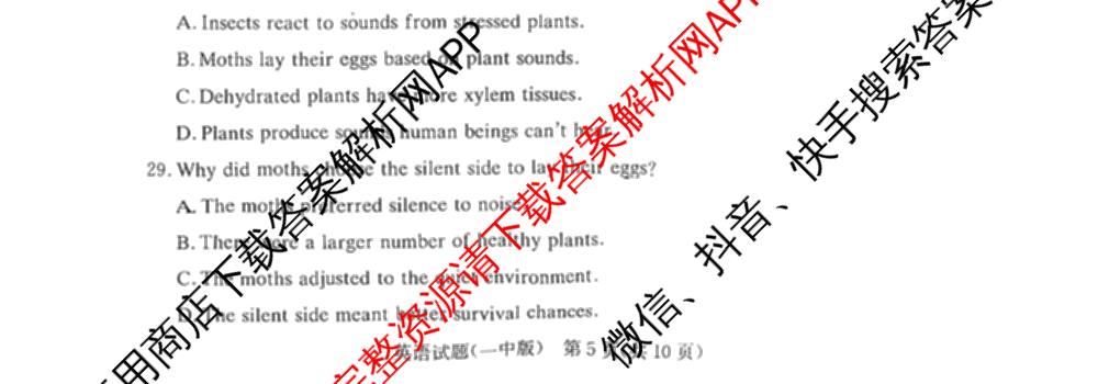 炎德英才大联考长沙市一中2026届高三月考试卷(四)4(已更新化学 政治 物理等9份)英语试题