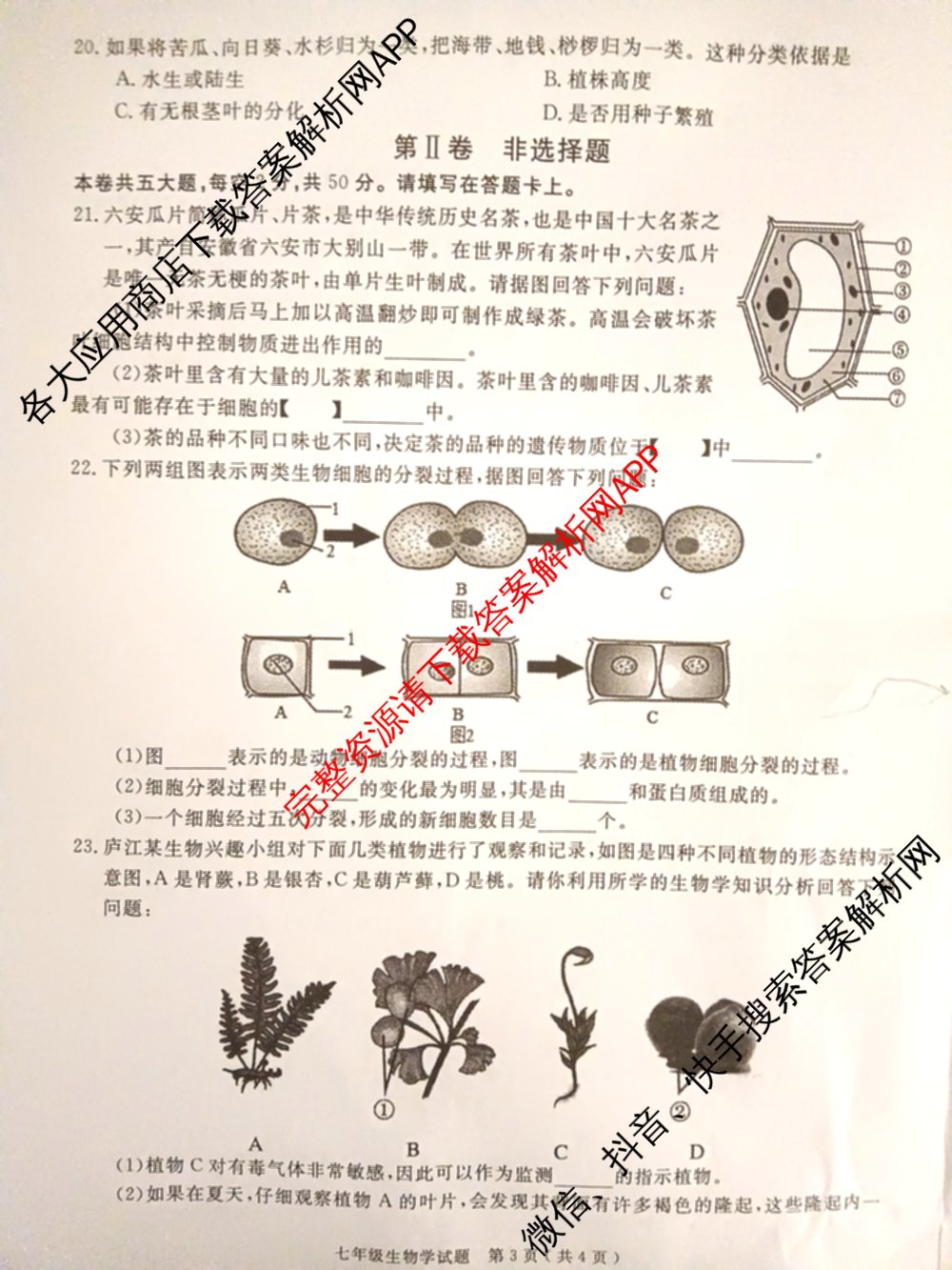 安徽2024/2025学年度第一学期期末教学质量抽测七年级试卷及答案汇总: 含数学 道德与法治 地理试卷解析生物试题 安徽2024/2025学年度第一学期期末教学质量抽测七年级试卷及答案汇总: 含数学 道德与法治 地理试卷解析生物试题