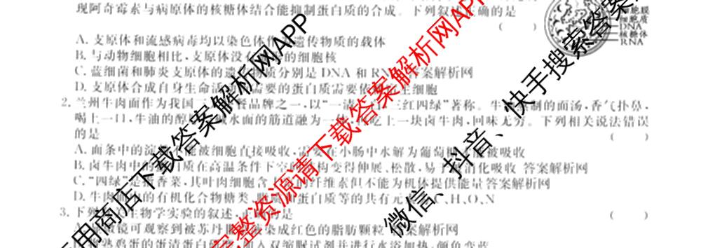 名校联考2026届高三总复月考卷(一)1各科答案及试卷(已更新化学(XS6J)、历史(XS6J)、数学(XS6)等9份)生物试题