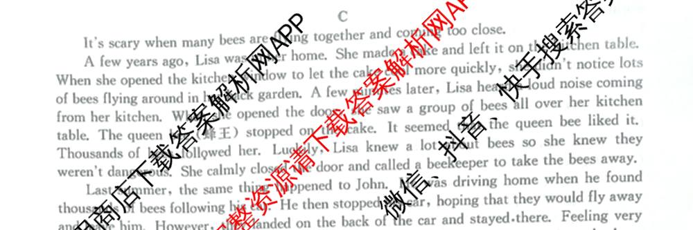 安徽省2025-2026八年级阶段评估[AH(2)](已更新英语(YLB) 地理(XJB) 物理(HKB)等19份)英语试题