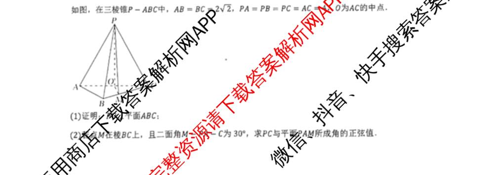 安徽省2024级高二上学期第一次学科素养绿色评价试卷及答案汇总（含历史 生物 数学等）数学试题