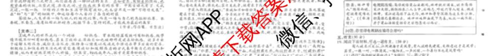 2024-2025学年河南省三甲名校原创押题试卷(九)各科答案及试卷（7科全）语文试题