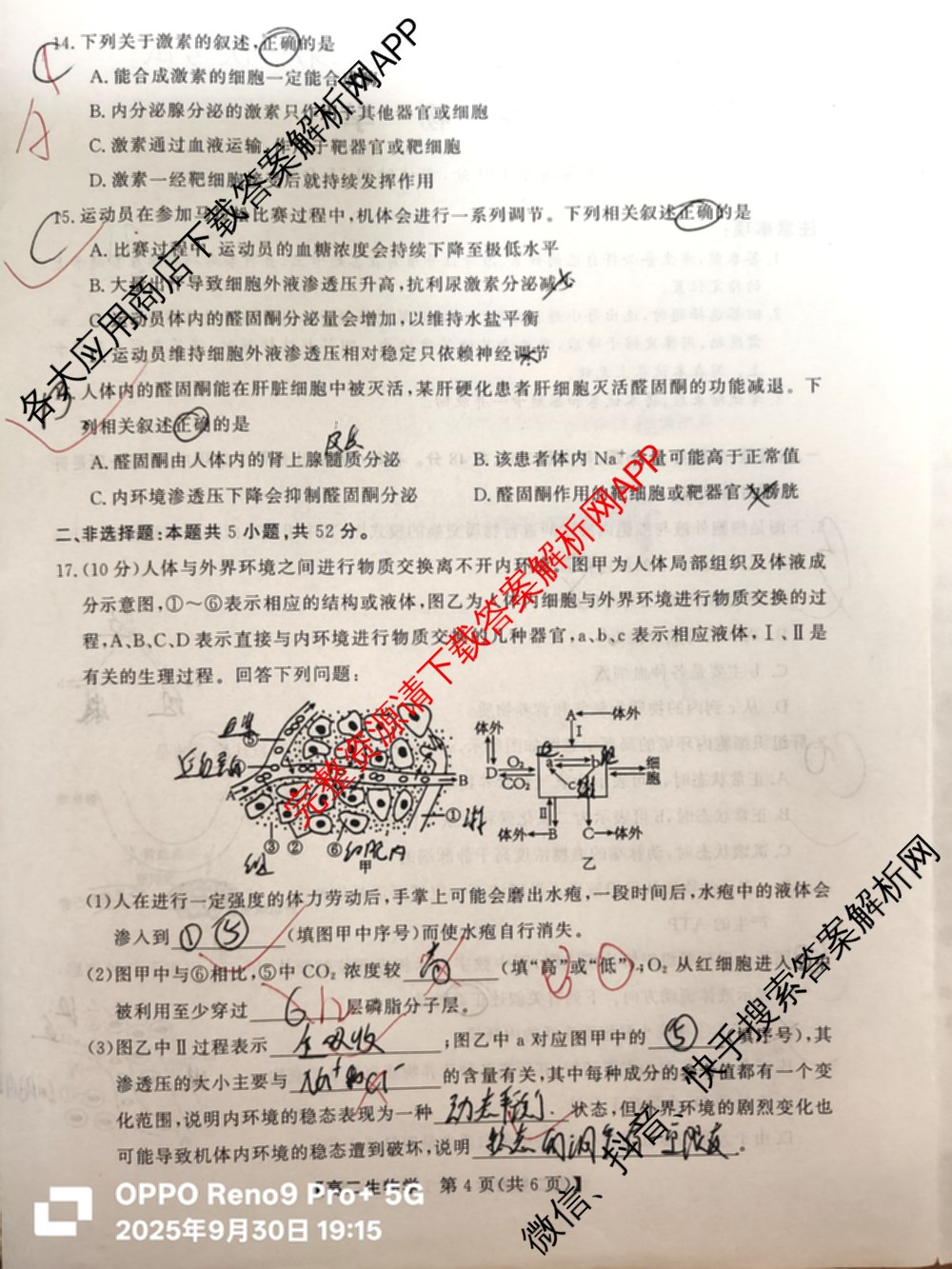陕西省2025年~2026年度高二第一次考试(9月)(已更新历史 地理 数学等9份)生物试题