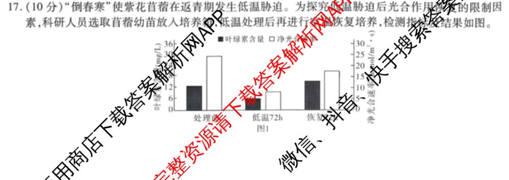 重庆市高2026届高三第三次质量检测(2025.11)各科答案及试卷（含物理 生物 英语等）生物试题