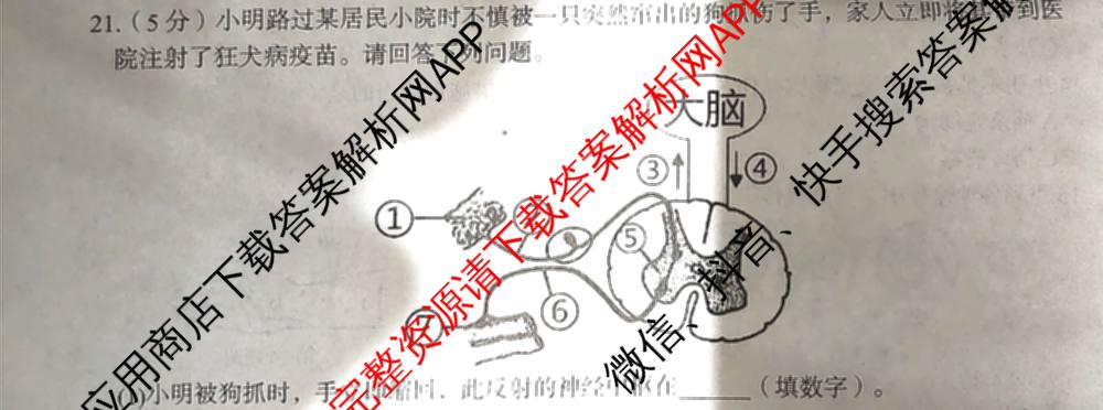 安徽省2025-2026学年度第一学期八年级阶段性评价(11.19)试卷及答案汇总: 含生物(人教版) 道德与法治 历史试卷解析生物试题