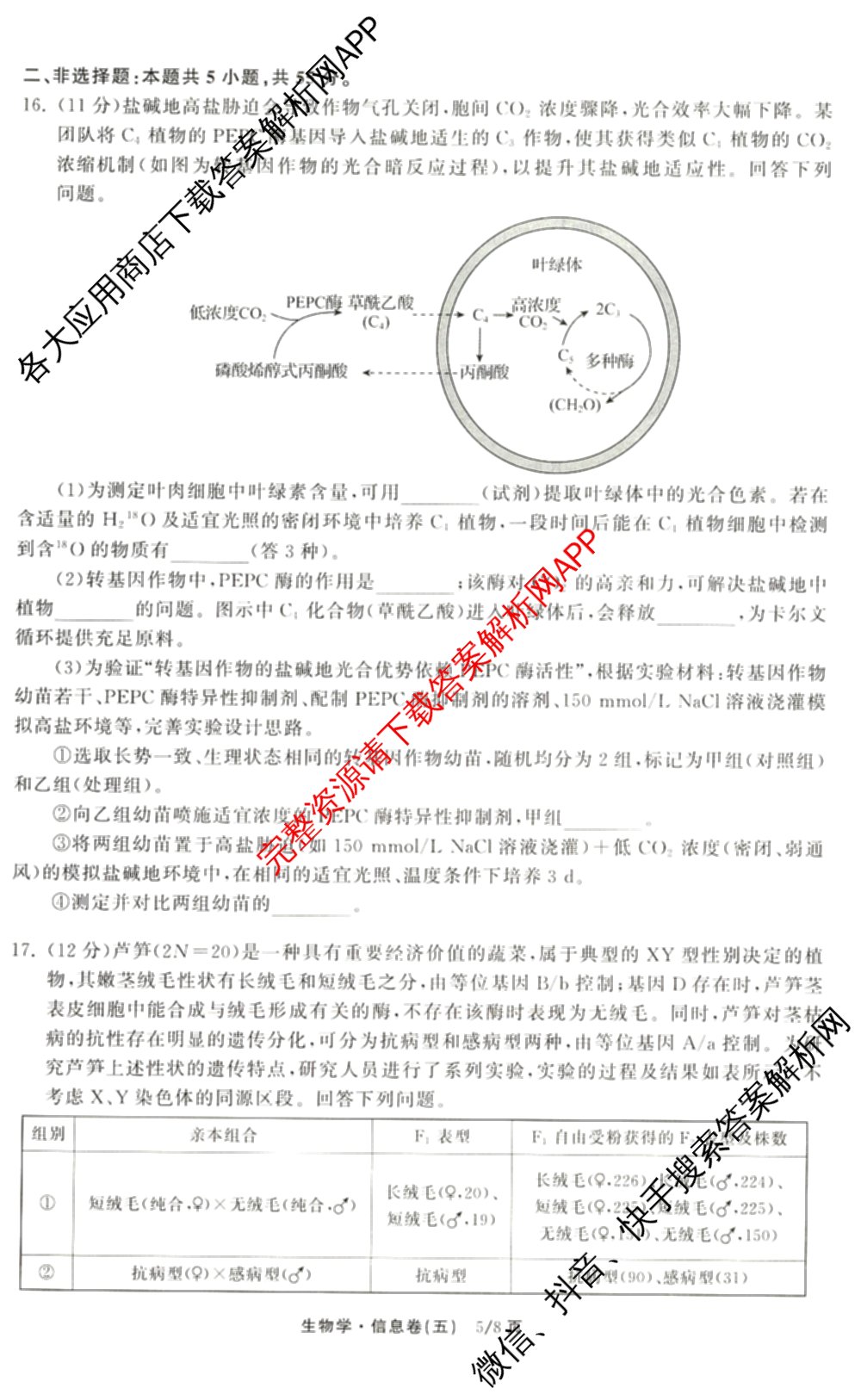 天舟高考衡中同卷2026年普通高等学校招生全国统一考试模拟信息卷(五)5（含化学(JY) 历史(GY) 物理(山东版)等35份）生物试题