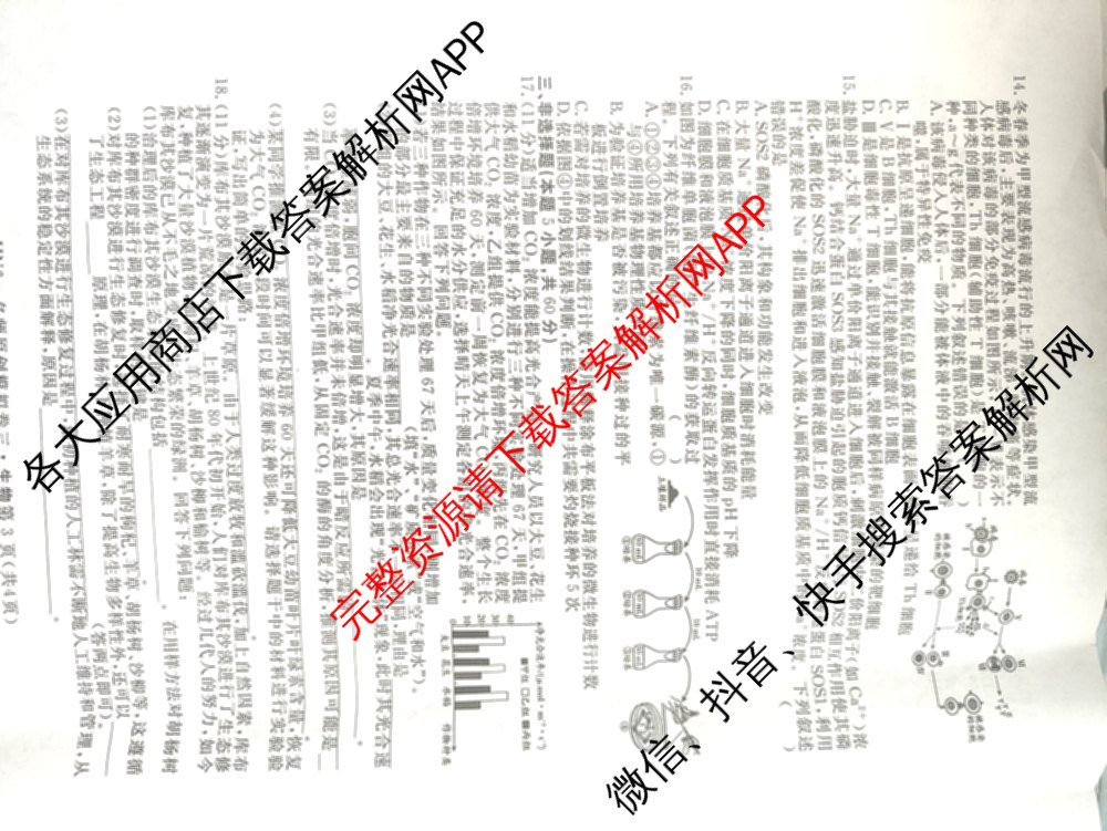 2026届高三总复名师原创模拟(三)3各科答案及试卷（含政治(CQX6)、生物(CQX6)、物理(HN6)等）生物试题