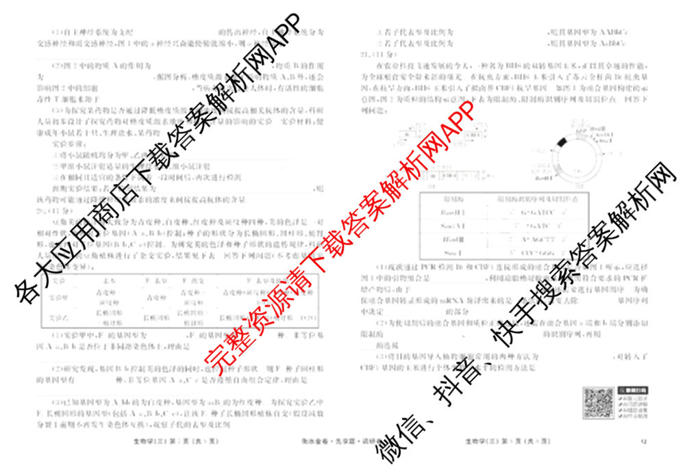 衡水金卷先享题调研卷2026年普通高等学校招生全国统一考试模拟试题(三)3各科答案及试卷(已更新化学(山东专版)、历史(HN)、文综(新教材)等91份)生物试题