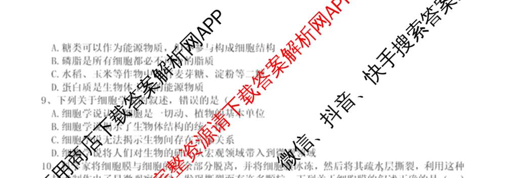 2025学年第一学期温州十校联合体期中联考高一年级试卷及答案汇总: 含化学、生物、语文试卷解析生物试题