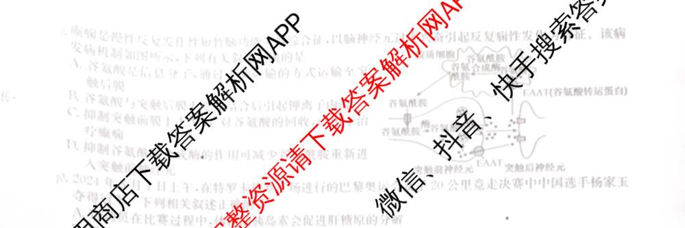 九师联盟2024~2025学年高三核心模拟卷(中)(二)2各科答案及试卷: 含政治(JX) 生物(D1) 生物(HB)试卷解析生物试题