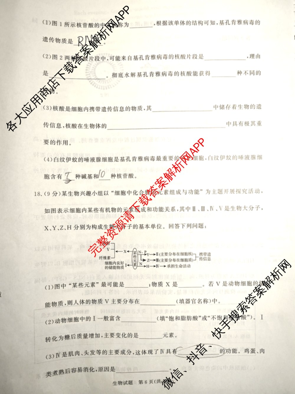 青桐鸣2028届普通高等学校招生全国统一考试青桐鸣大联考(高一)(11.17)各科答案及试卷: 含物理 生物 语文试卷解析生物试题