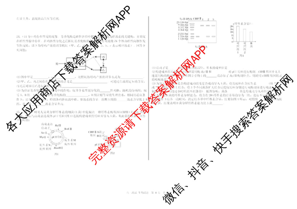 哈尔滨市第六中学2023级上学期12月测试高三试卷及答案汇总（含化学、政治、生物等）生物试题