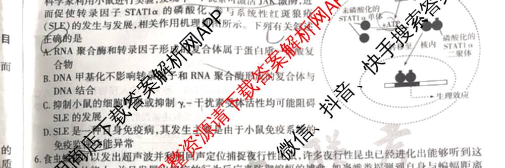 天一大联考2025届高考全真模拟卷(五)各科答案及试卷(已更新政治(河南专版)、生物(安徽专版)、英语(新高考)等37份)生物试题