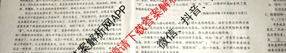 A10联盟&宿州十三校2025级高一上学期11月期中质量检测试卷及答案汇总（19科全）语文试题