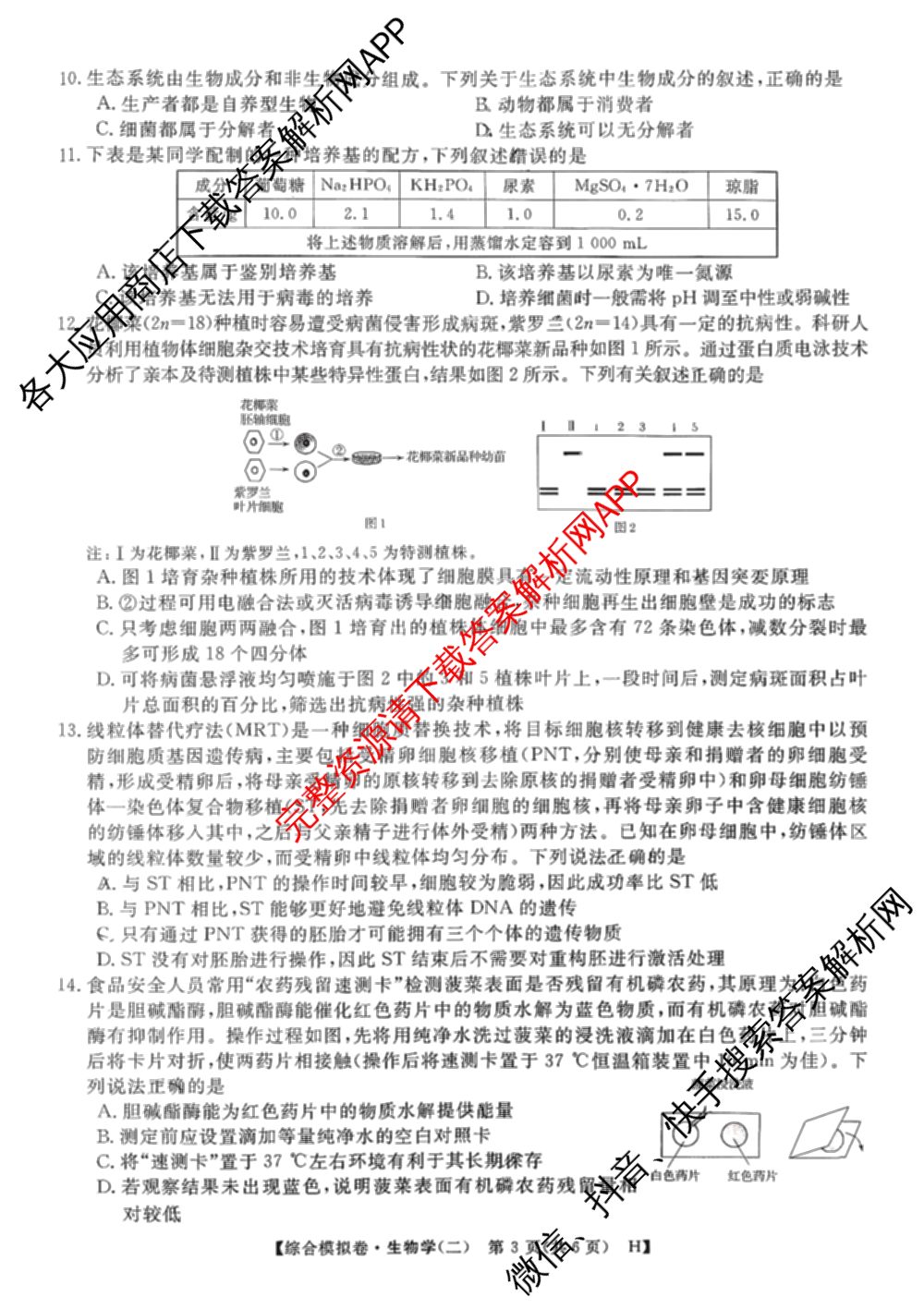 2026普通高等学校招生全国统一考试综合模拟卷(二)2试卷及答案汇总（含政治(C) 地理(C) 数学(X)等）生物试题