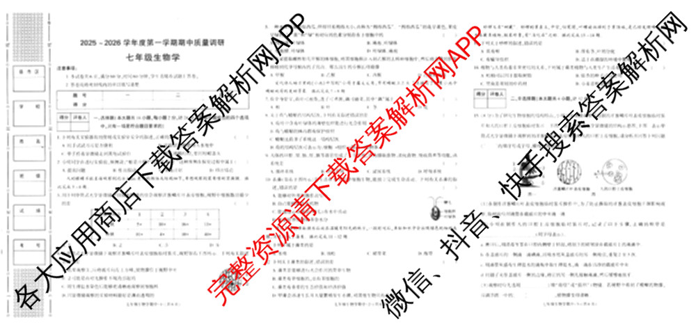 陕西省2025~2026学年度第一学期期中质量调研七年级试卷及答案汇总（7科全）生物试题
