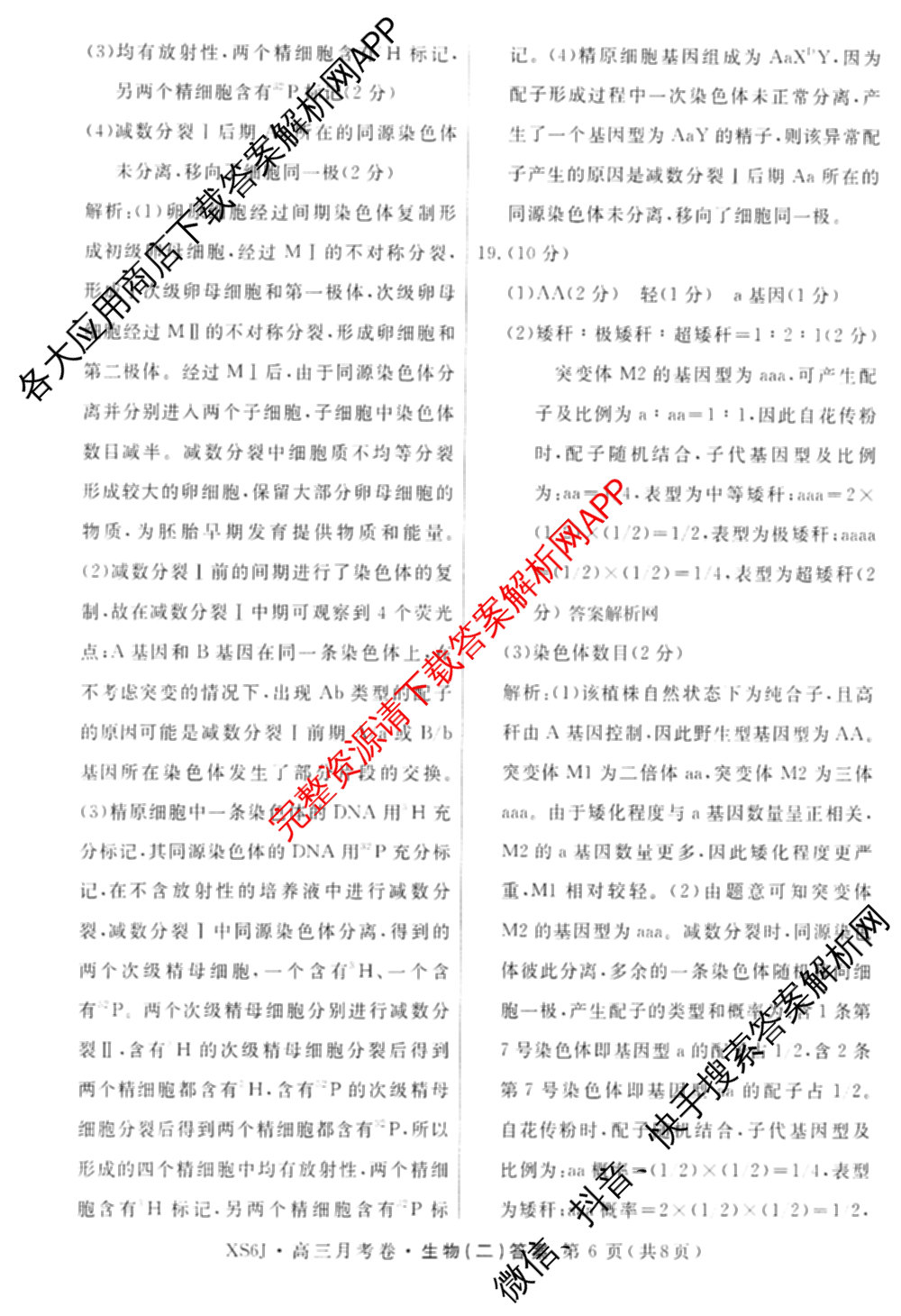 名校联考2026届高三总复月考卷(二)2各科答案及试卷(含语文(XS6G) 化学(XS6J) 历史(XS6J)等)生物答案 名校联考2026届高三总复月考卷(二)2各科答案及试卷(含语文(XS6G) 化学(XS6J) 历史(XS6J)等)生物答案