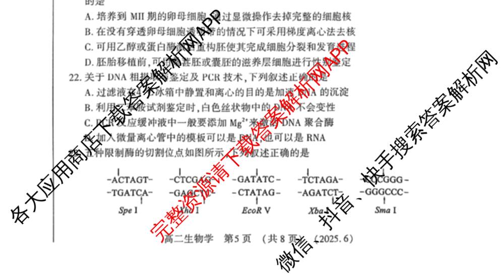 河南省洛阳市2024-2025学年第二学期高二质量检测(2025.6)(已更新语文 数学 物理等9份)生物试题