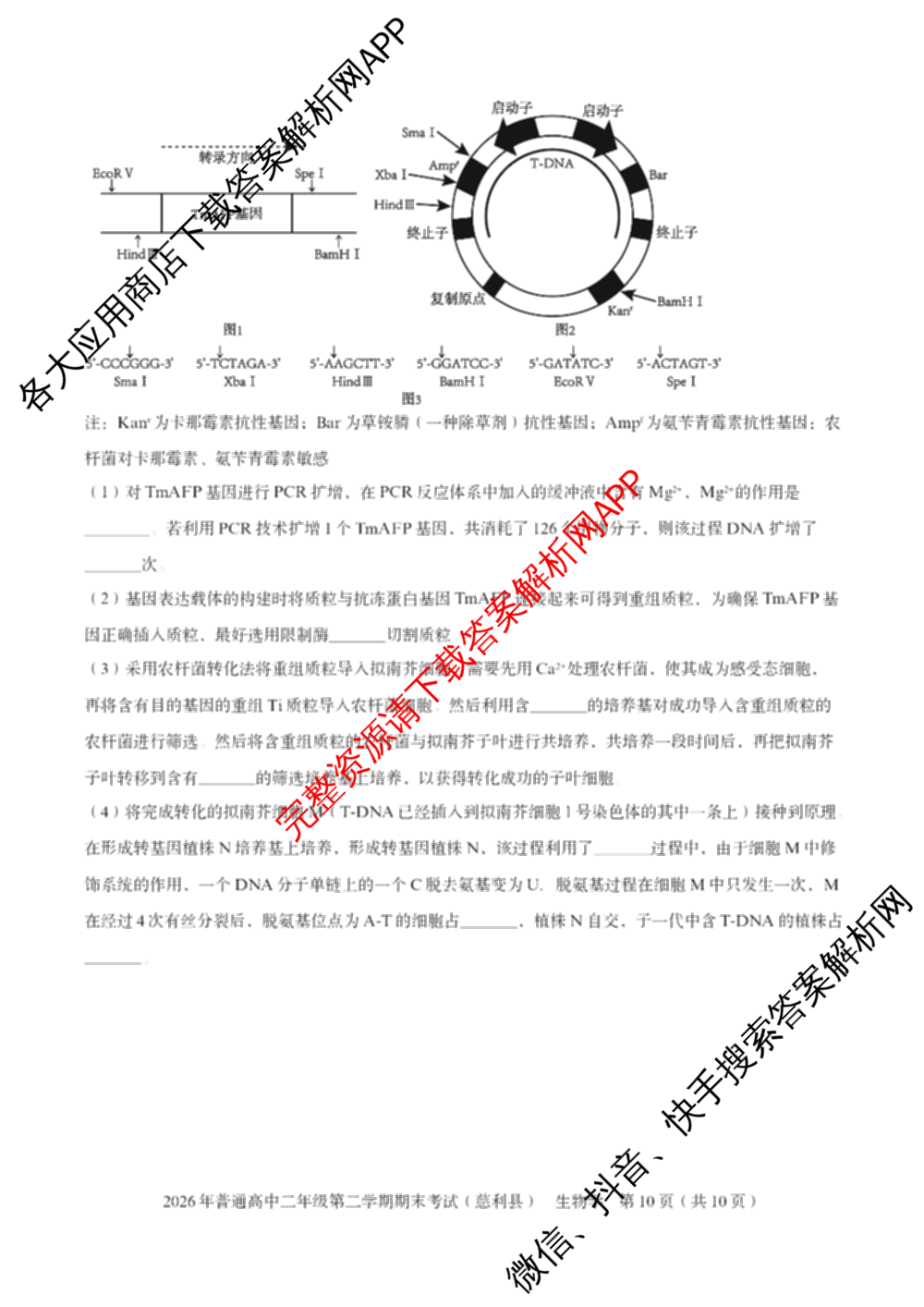 湖南省张家界市慈利县2026年普通高中二年级第二学期期末考试各科答案及试卷（含数学、政治、语文等9份）生物试题