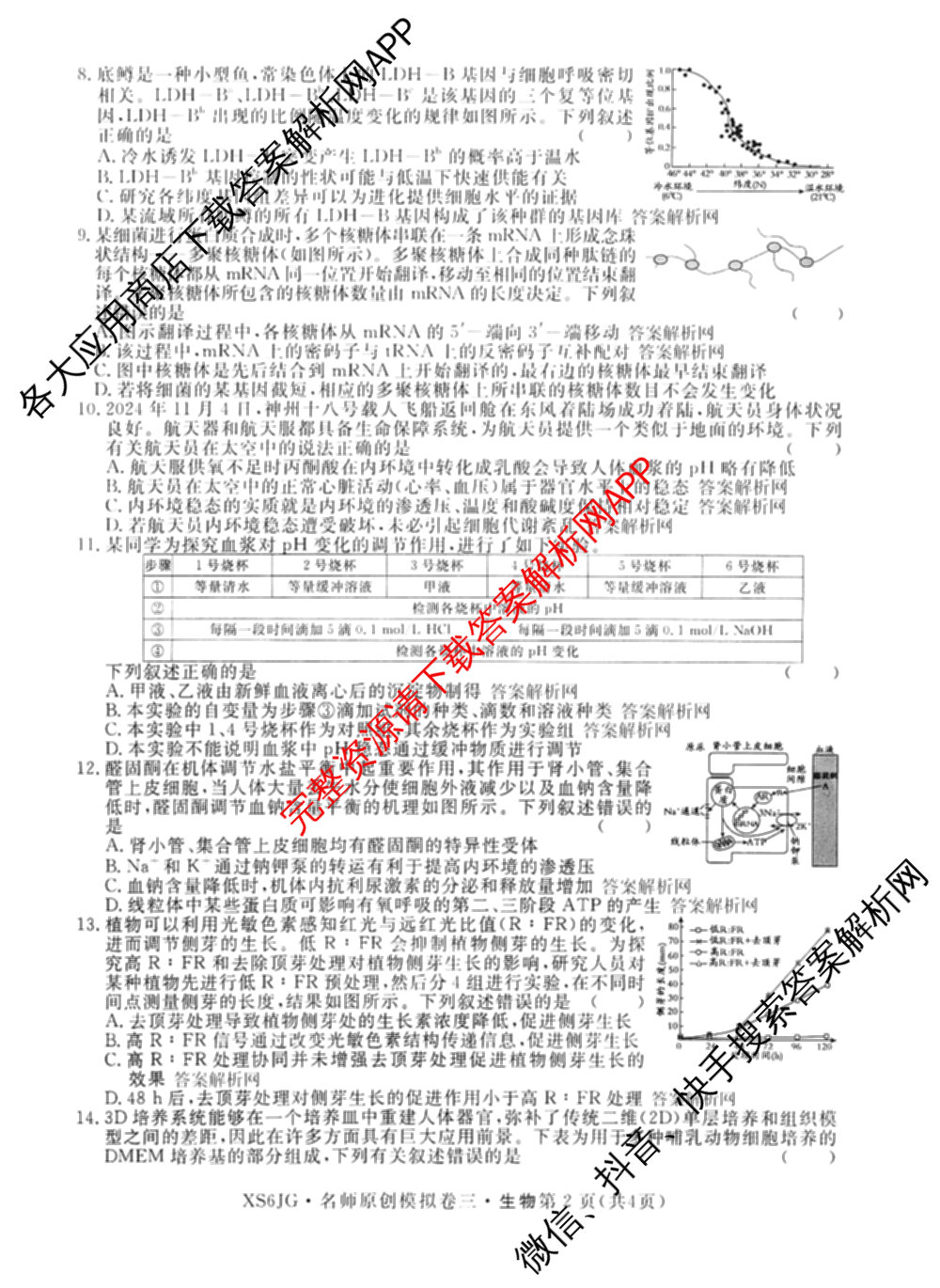 2026届高三总复名师原创模拟(三)3各科答案及试卷（含政治(CQX6)、生物(CQX6)、物理(HN6)等）生物试题