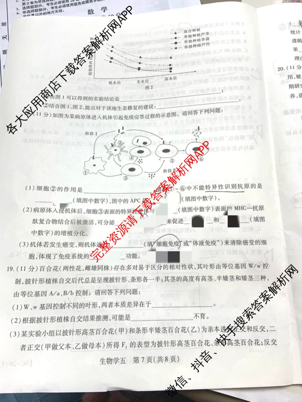 2026届智慧上进名校学术联盟高考模拟信息卷&冲刺卷&预测卷(五)5各科答案及试卷: 含历史(SC-26-1) 物理(II-26-1) 生物(HB-26-1)试卷解析生物试题