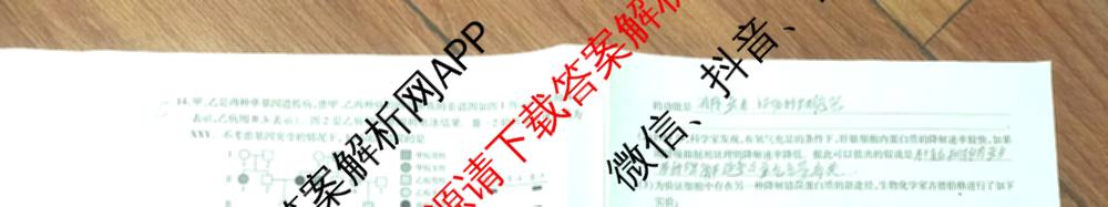 天一大联考安徽2026届高三期中联考(11月)(已更新物理(合肥专版)、历史(宿州专版)、政治等16份)生物试题