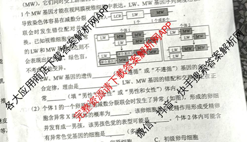 重庆康德2026届重庆市普通高等学校招生全国统一考试 高考模拟调研卷(一)试卷及答案汇总（10科全）生物试题