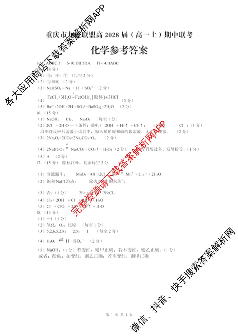 重庆市九校联盟高2028届(高一上)期中联考试卷及答案汇总（含语文、地理、历史等）化学答案