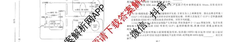 天舟高考衡中同卷2026年普通高等学校招生全国统一考试模拟信息卷(三)3(已更新化学(WG) 地理 生物(WY)等35份)生物试题