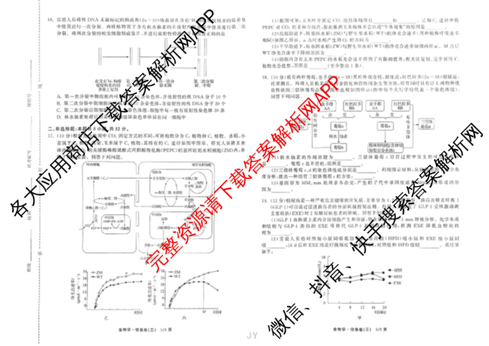 天舟高考衡中同卷2026年普通高等学校招生全国统一考试模拟信息卷(三)3各科答案及试卷（含物理(HJ)、物理(无字母)、英语(B)等24份）生物试题