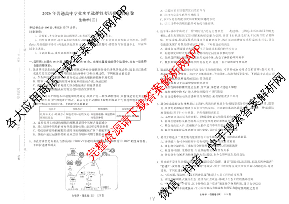天舟高考衡中同卷2026年普通高等学校招生全国统一考试模拟信息卷(三)3各科答案及试卷（含物理(HJ)、物理(无字母)、英语(B)等24份）生物试题