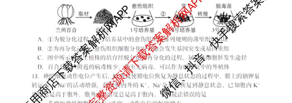 杭州二中2025学年第一学期高三年级十月月考各科答案及试卷: 含地理 数学 语文试卷解析生物试题