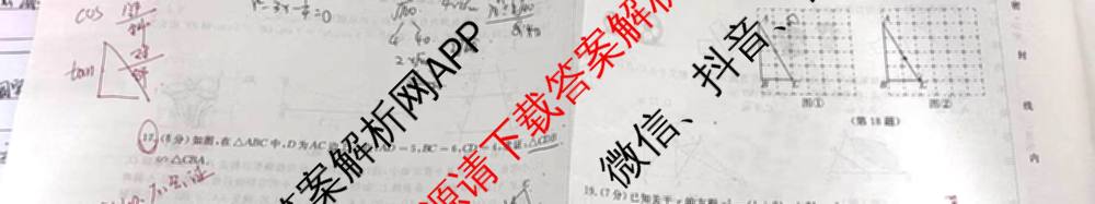 吉林省名校调研系列卷2025-2026九年级第一次练各科答案及试卷(已更新物理 英语 数学等7份)数学试题