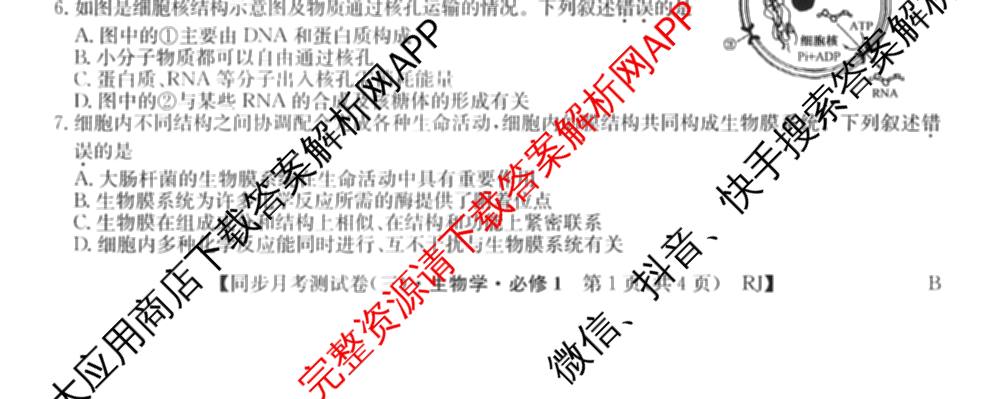 2025-2026学年度高一高中同步月考测试卷(三)各科答案及试卷: 含数学(必修第一册 RJ) 化学(必修第一册 RJ) 语文(必修上册)试卷解析生物试题