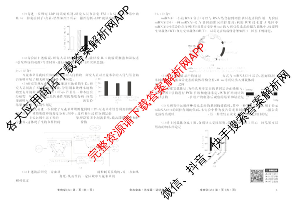 衡水金卷先享题调研卷2026年普通高等学校招生全国统一考试模拟试题(六)6（含地理(HN) 物理(HU) 物理(JS)等）生物试题