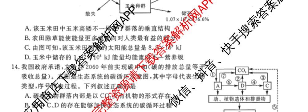 河南省2025-2026高二年级1月测评(6282B): 含数学、化学、生物(6282B)试卷解析生物试题