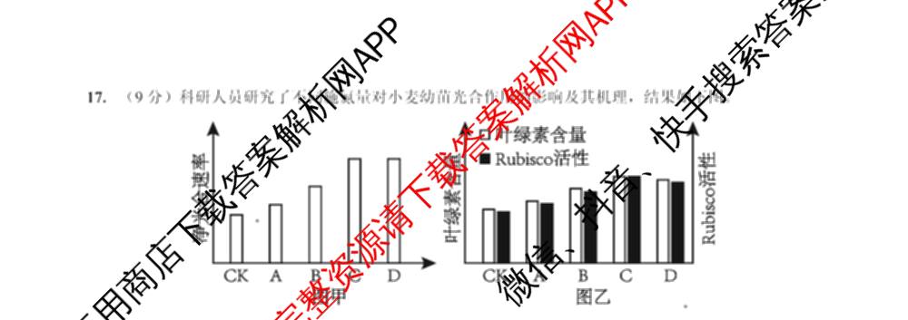 重庆外国语学校2026届高三(上)10月月考(四)(含英语、地理、语文等)生物试题 重庆外国语学校2026届高三(上)10月月考(四)(含英语、地理、语文等)生物试题