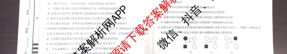 天一大联考2024-2025学年高一年级阶段性测试(四)（含地理、地理(宣城专版)、物理(池州专版)等20份）生物试题