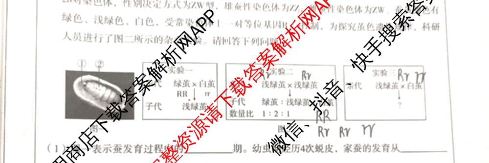 2025-2026学年第一学期阶段性学业检测二八年级: 含语文(部编版)、语文、历史(部编版)试卷解析生物试题